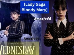 Wednesday Song [Lady Gaga - Bloody Mary]