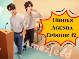 When Is Hidden Agenda Episode 12 Coming Out