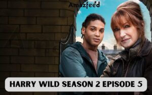 Harry Wild Season 2 Episode 5 Release Date