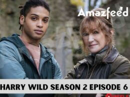 Harry Wild Season 2 Episode 6 release date