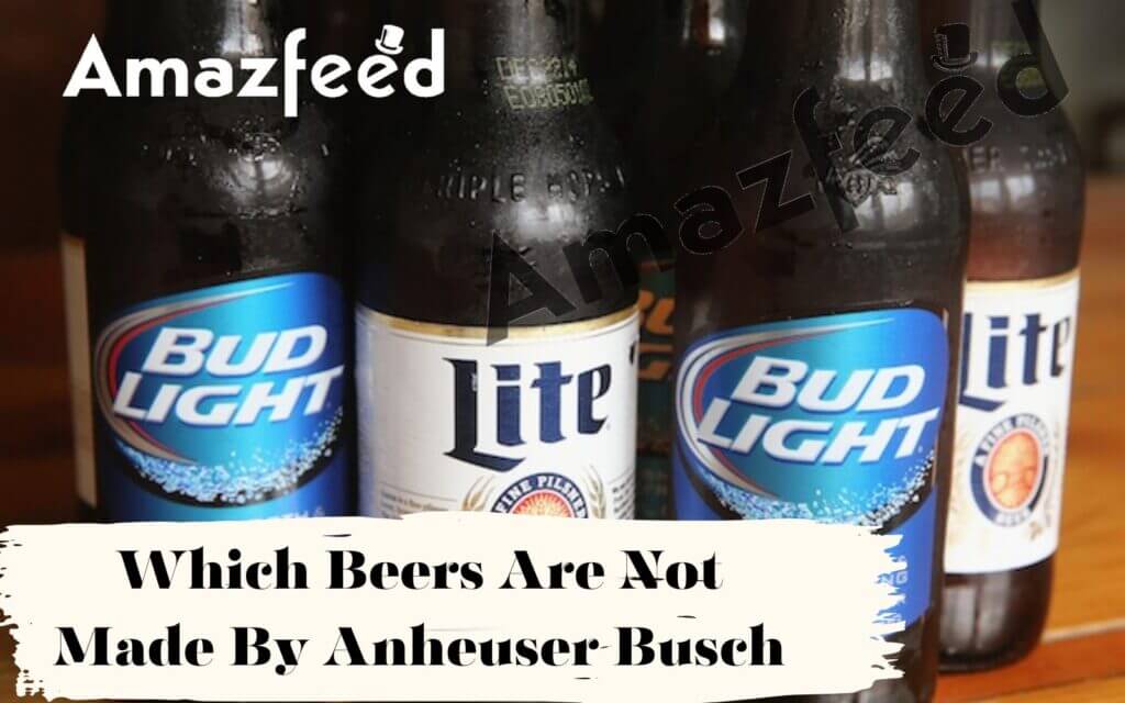 What Beer is Owned by AnheuserBusch? List of Beers Not Owned By