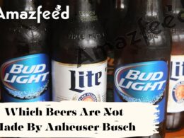 Is Anheuser-Busch a beer company