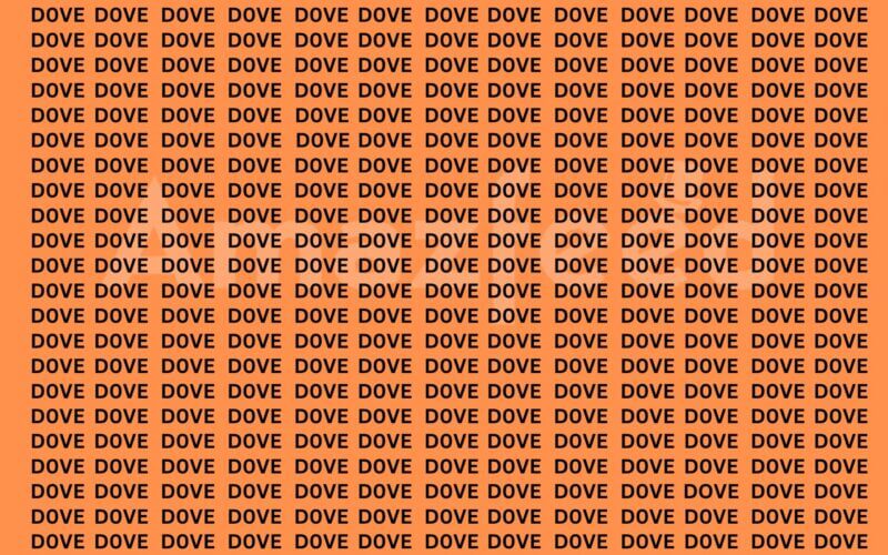 OPTICAL ILLUSION FIND OUT WORD DOVE