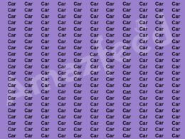 Optical Illusion 99% of people can't find the word Cat in this image within 7 seconds.