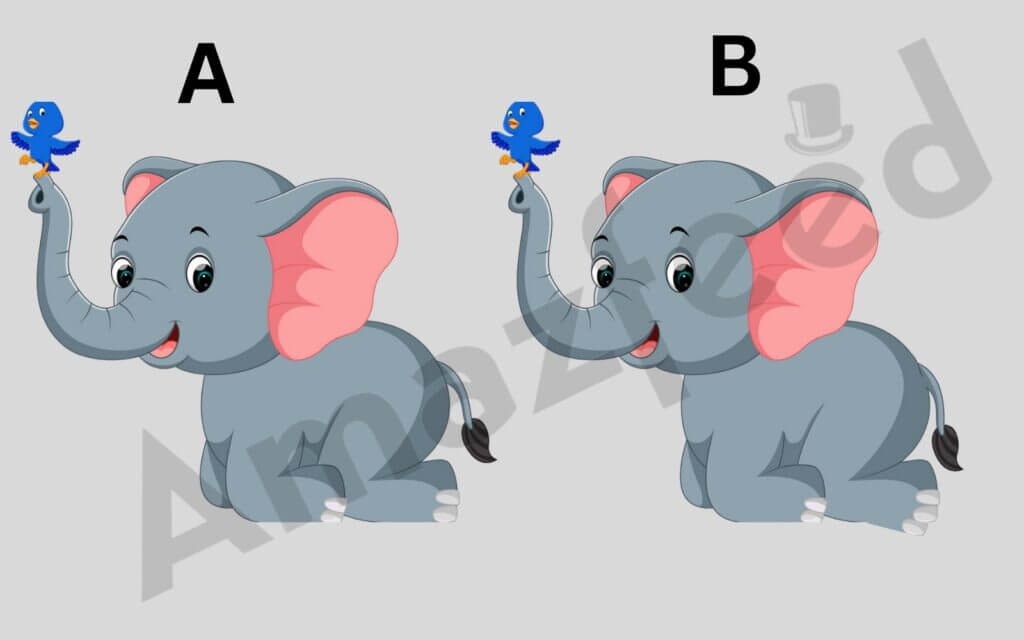 Optical Illusion Find Two Distinct Look Between The Nine-Second Image Of The Elephants!