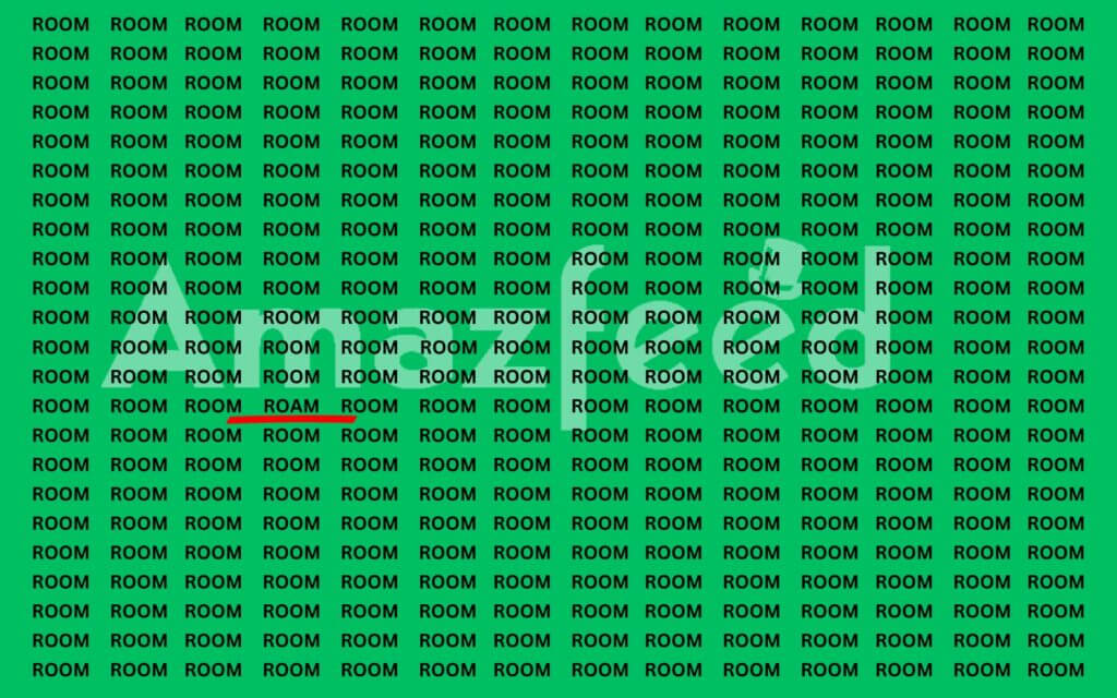 ROAM WORD FIND OUT OPTICAL ILLUSION ANSWER