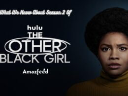 The Other Black Girl Season 2 release date