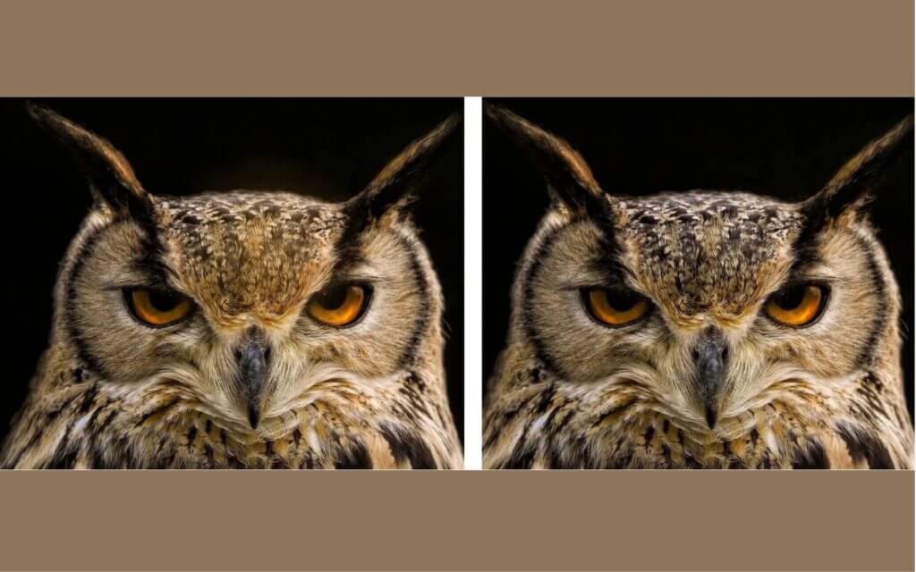 look at Images and See that Different