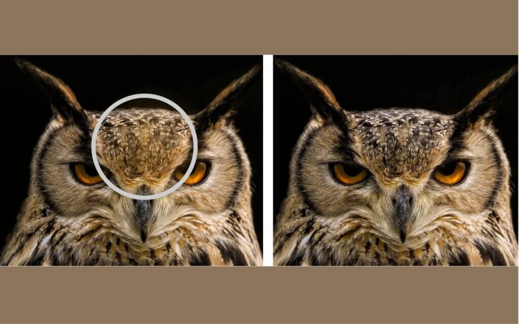 look at Images and See that Different