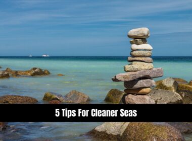 5 Tips For Cleaner Seas