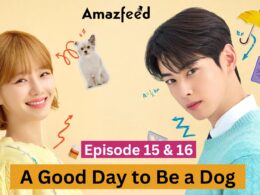 A Good Day to Be a Dog Episode 15 & 16