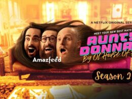 Aunty Donnas Season 2 release