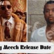 Big Meech Release Date