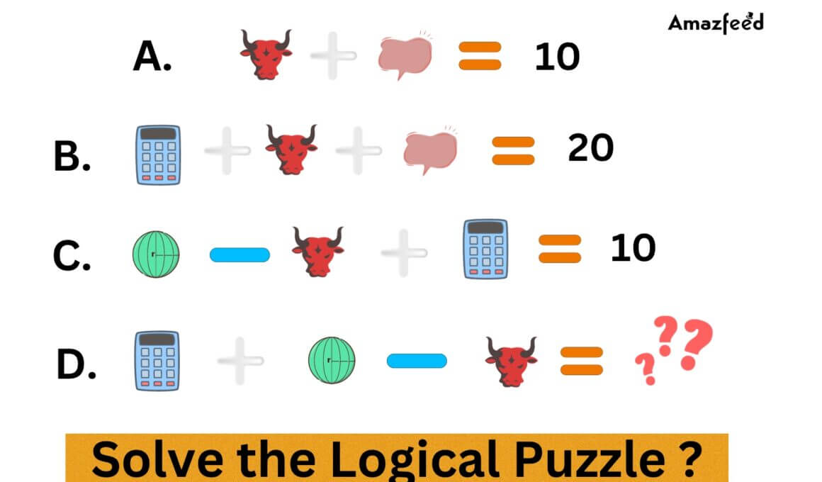 Logical Puzzle