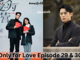 Only for Love Episode 29 & 30