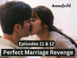 Perfect Marriage Revenge Episodes 11 & 12