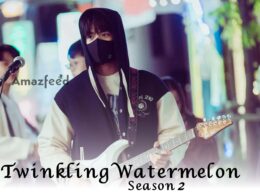 Twinkling Watermelon Season 2 release date