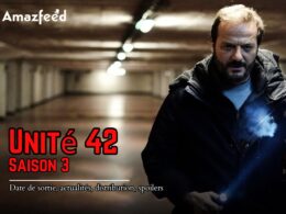 Unité 42 Saison 3 Date de sortie
