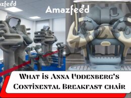 Who is Anna Uddenberg