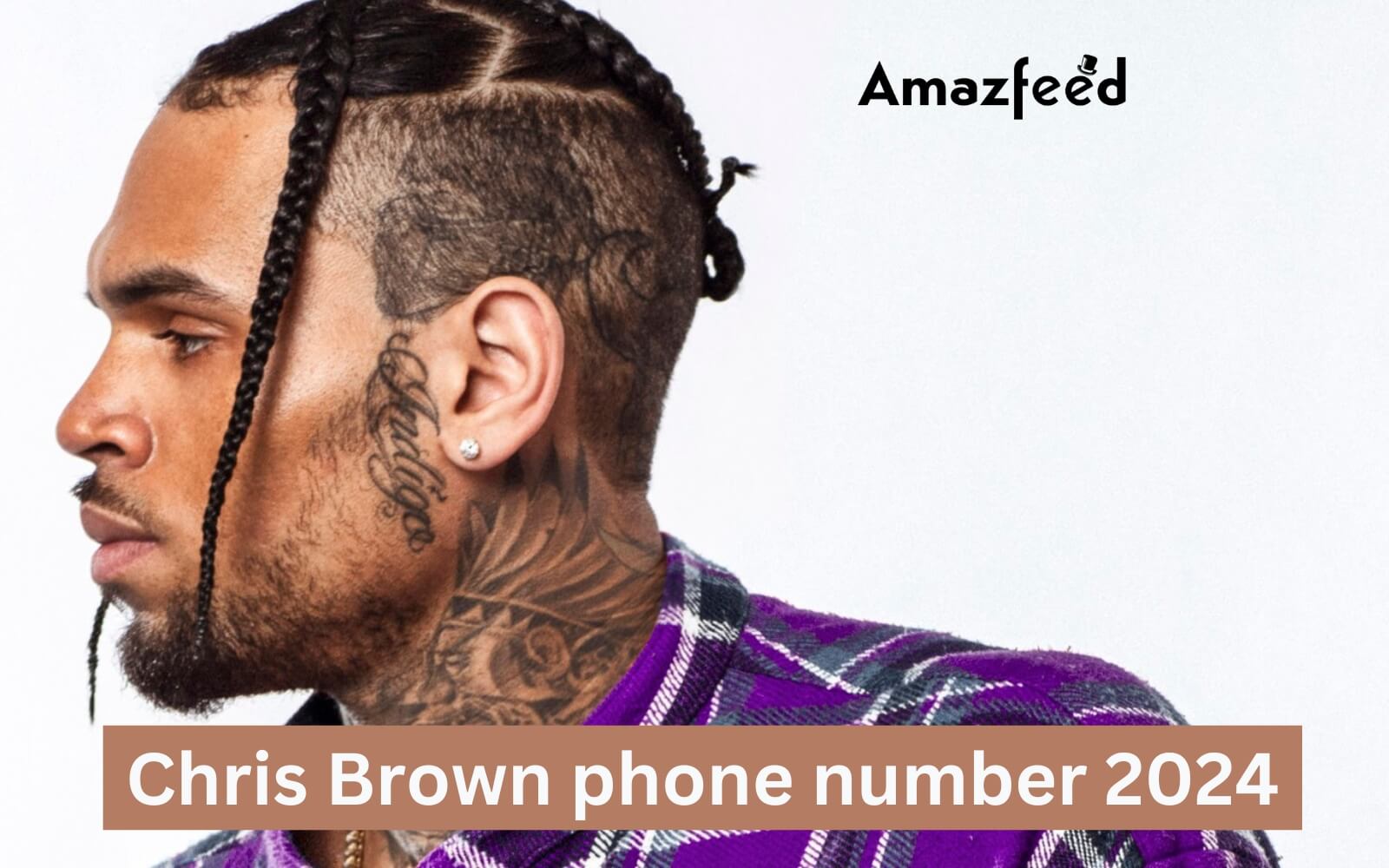 Chris Brown Cell Phone Number, House Address, Email ID & updates (2024