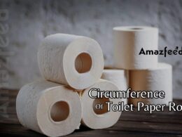Circumference Of Toilet Paper Roll