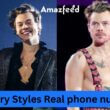 Harry Styles Real phone number