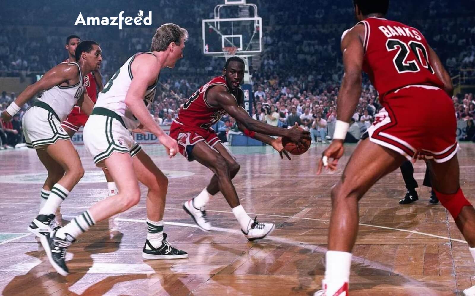 michael jordan phone number