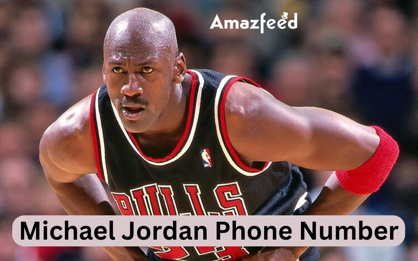 Michael Jordan Phone Number, House Address, Email ID & updates (2024