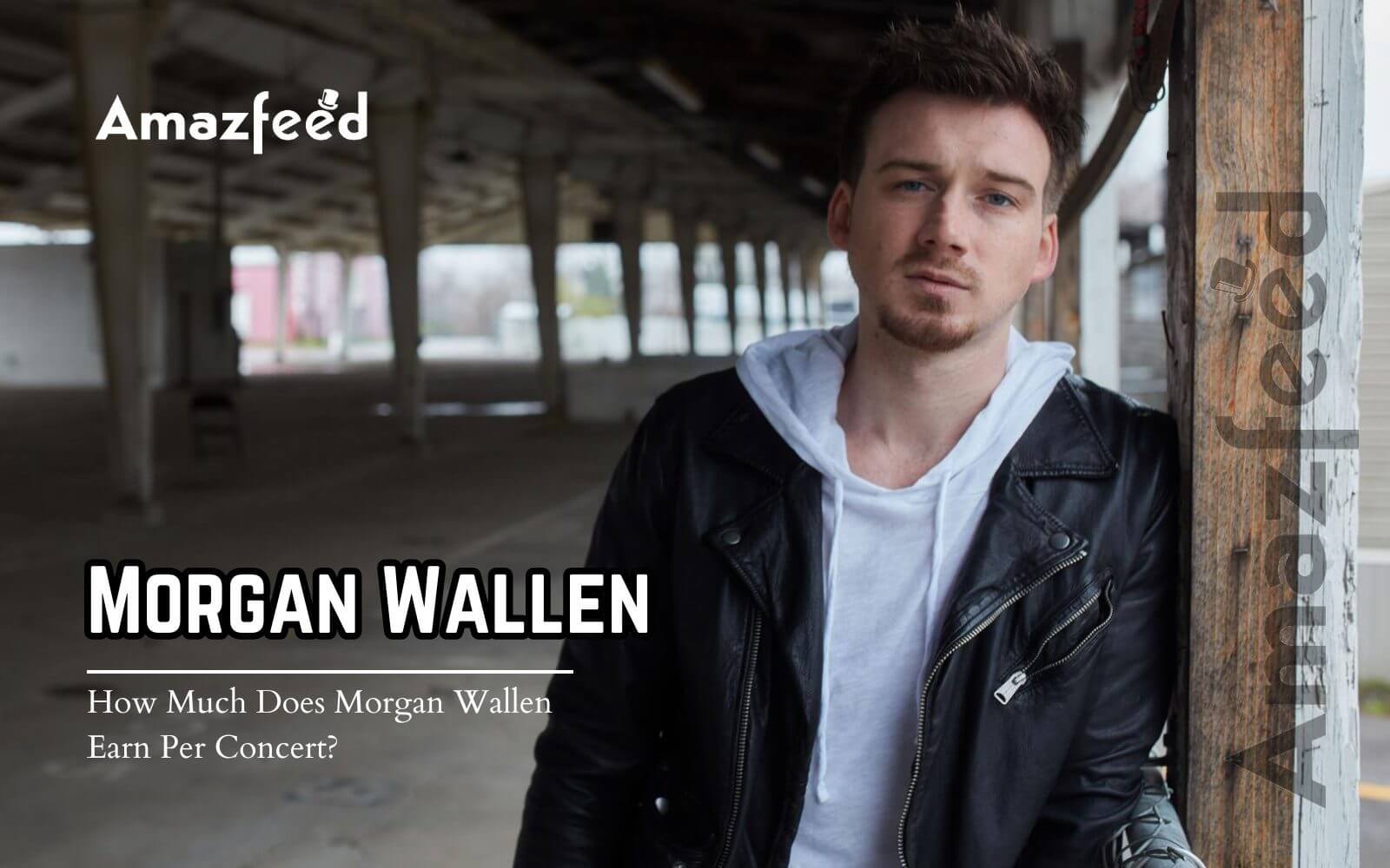 How Much Does Wallen Earn Per Concert? Wallen Net Worth