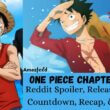 One Piece Chapter 1103 Reddit Spoiler