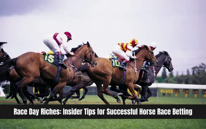 Race Day Riches Insider Tips for Successful Horse Race Betting