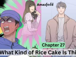 What Kind of Rice Cake Is This Chapter 27