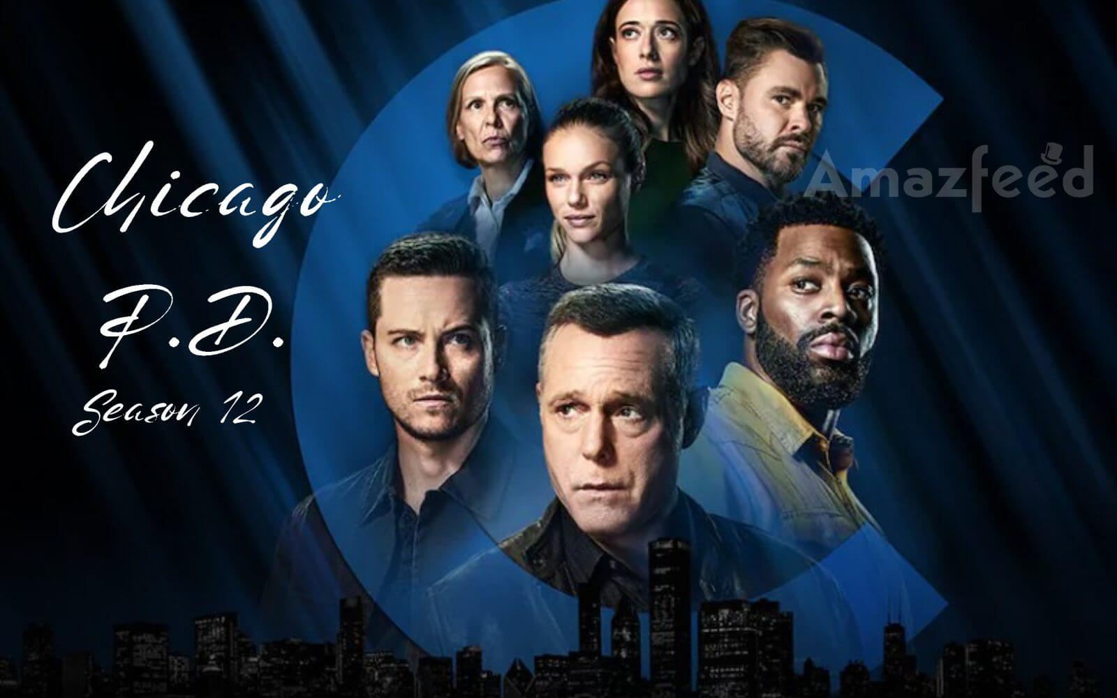 Will there be a Chicago P.D. Season 12? Chicago P.D. Season 12 Release ...