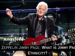 Jimmy Page data