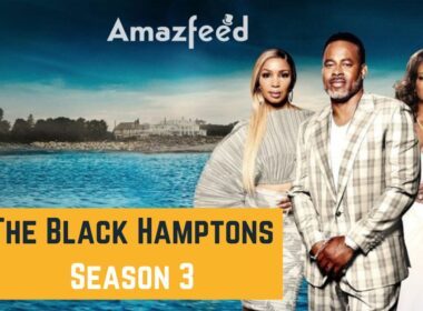 The Black Hamptons Season 3 Intro