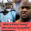 Vince Young Career Stats