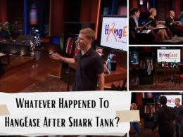 Whatever Happened To HangEase After Shark Tank