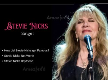 Who is Stevie Nicks