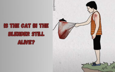 What is Cat In The Blender video? Is the Cat in the Blender Still Alive