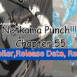 Netkama Punch!!! title poster