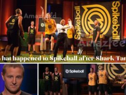 What is Spikeball