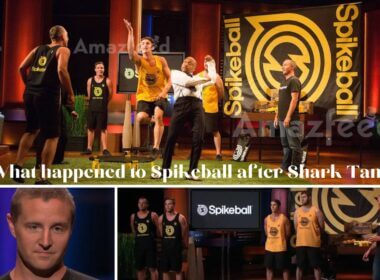 What is Spikeball