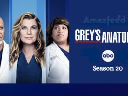 Grey's Anatomy Season 20 release date