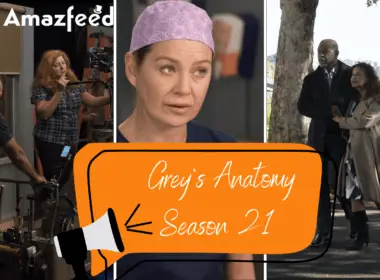 Grey's Anatomy Season 21 Release date & time