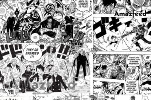 One Piece Chapter 1110 On Hiatus