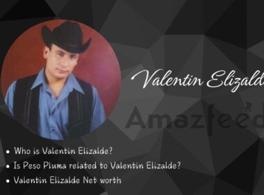 Valentin Elizalde Net worth 2024